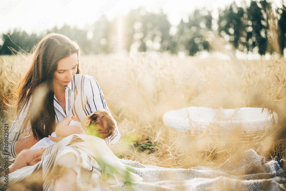 Little baby girl breast feeding in nature meadow at the sunset . - obrazy, fototapety, plakaty 