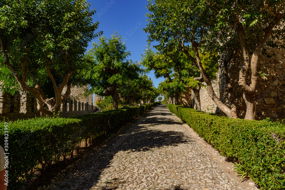 Obraz premium Castle of Montemor or Vello, in Mondego Portugal