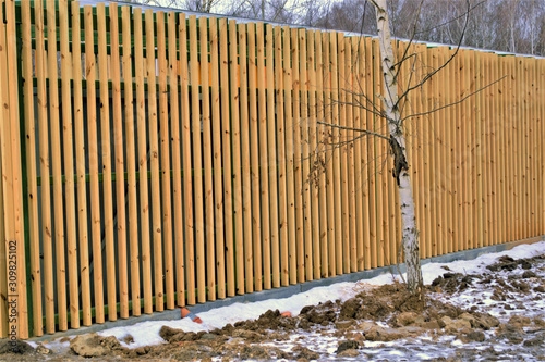 new wooden fence with birch on the street