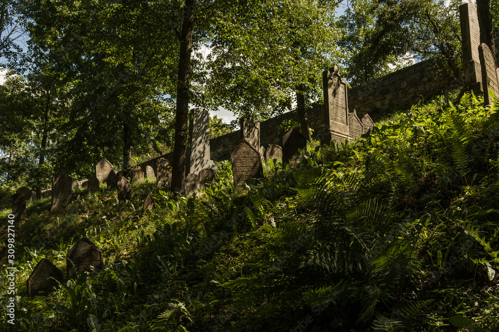 UNESCO protected Jewish Cemetery of Trebic, Czech Republic with old Hebrew carved tomb stones. UNESCO protected Jewish Cemetery of Trebic, Czech Republic with old Hebrew carved tomb stones.