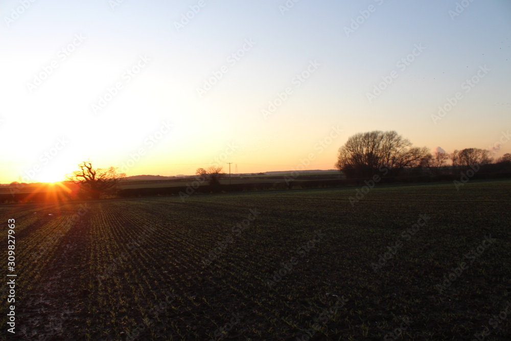 Fototapeta premium sunset 