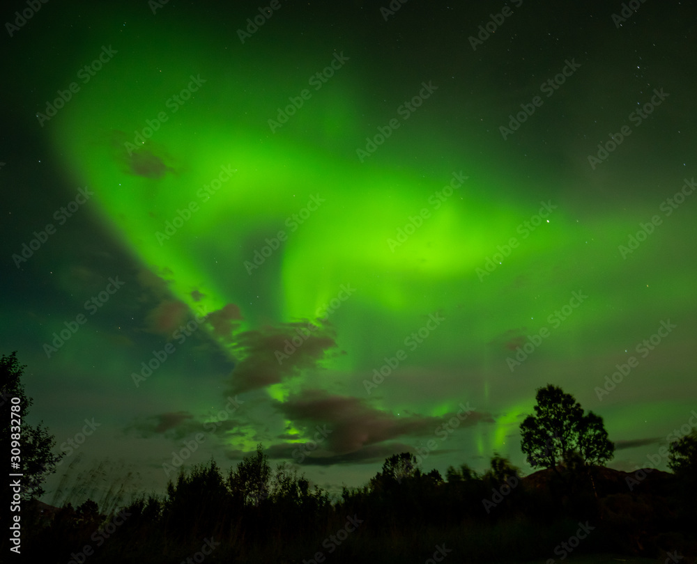 Aurora Borealis