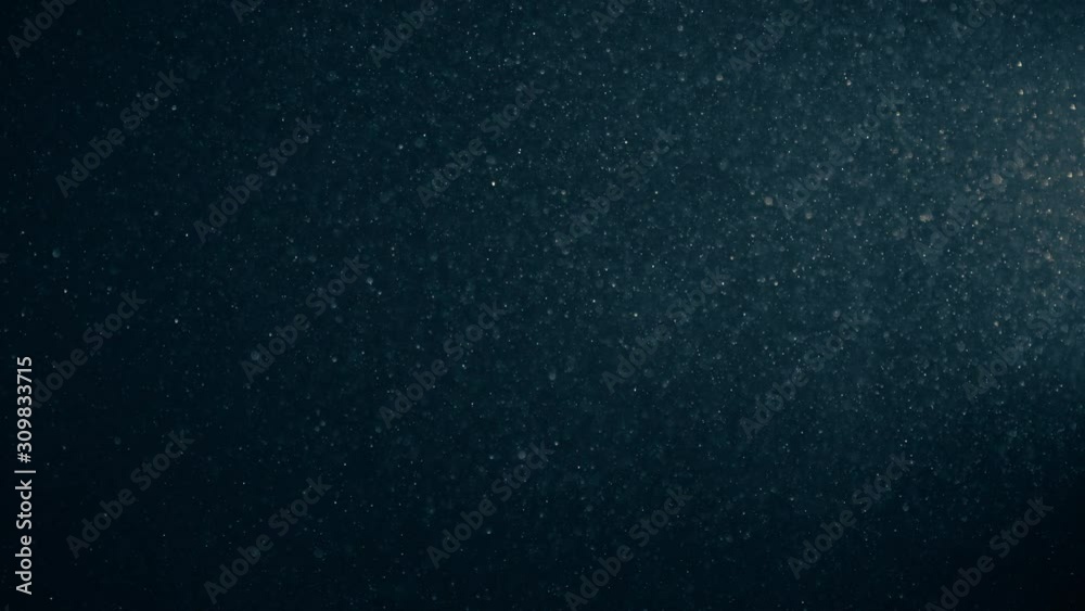 Natural Organic Dust Particles Floating On Black Background. Glittering Sparkling Particles Randomly Spin In The Air With Bokeh. Dynamic Particles With Fast And Slow Motion. Shimmering Dust In Space. Natural Organic Dust Particles Floating On Black Background. Glittering Sparkling Particles Randomly Spin In The Air With Bokeh. Dynamic Particles With Fast And Slow Motion. Shimmering Dust In Space.