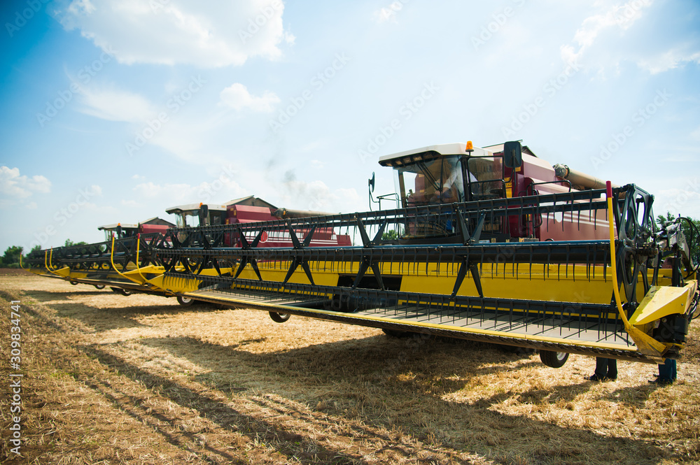 Combine harvesters ready for harvest