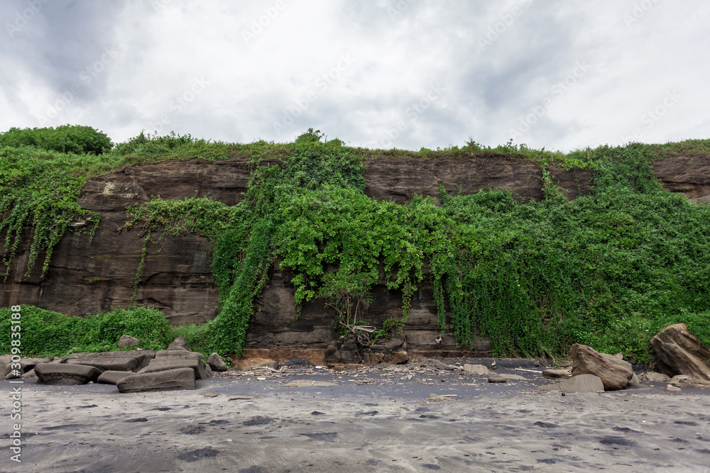 Rocks covered with green ivy, stones. Bali seacoast. Rocks covered with green ivy, stones. Bali seacoast.