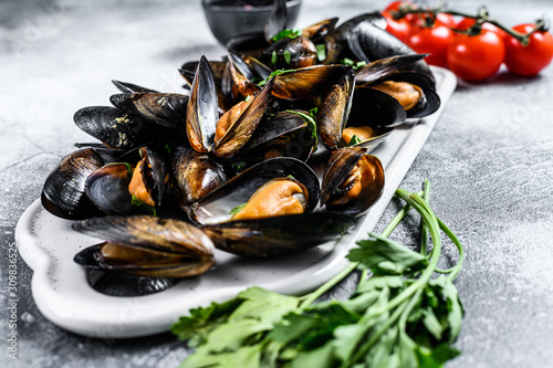 Fresh uncooked mussels in shells. The concept of cooking in tomato sauce with parsley. Gray background. Top view
