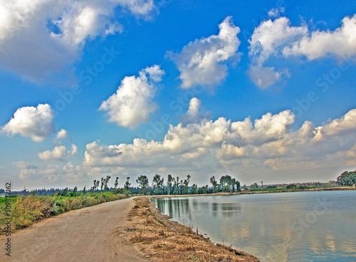 Open fish pond in Isreal