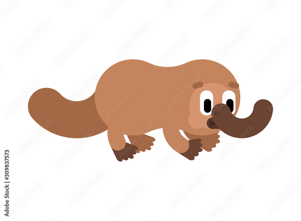 Platypus cartoon isolated. cute duckbill. ornithorhyncus vector illustration Platypus cartoon isolated. cute duckbill. ornithorhyncus vector illustration