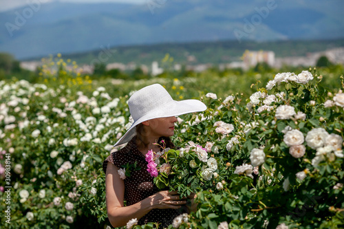 Beautiful woman in retro style polka dot dress and hat holding a delicate bouquet of Bulgarian pink fresh roses