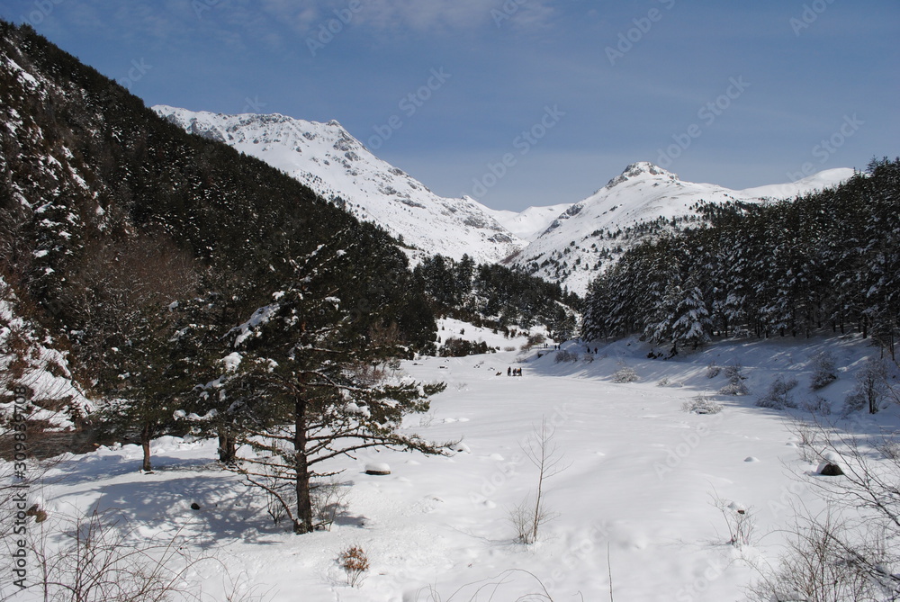 Winter in the mountains - pyrenees