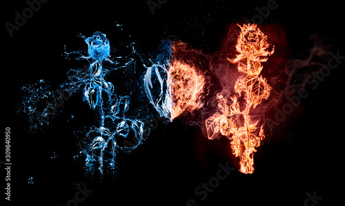 Rose in flames/rose burning on fire is on the one side and wet rose in light blue water with water drops is on the second side. Between the roses is heart made of water and fire. Happy Valentine's Day