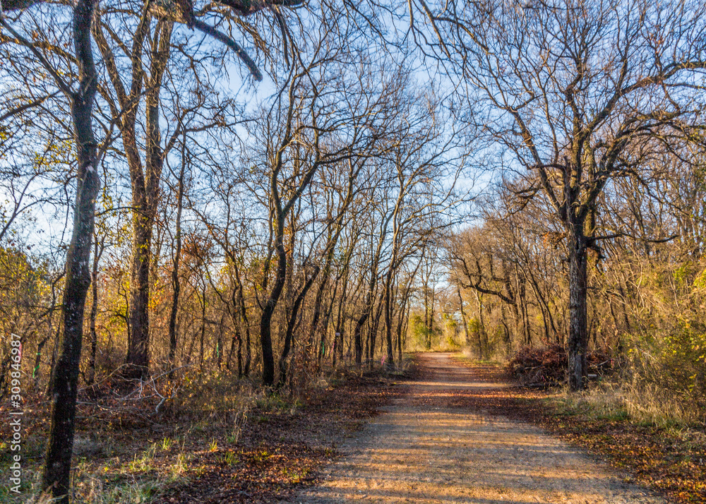 Fototapeta premium Brownwood Tx Riverside park autumn fall 