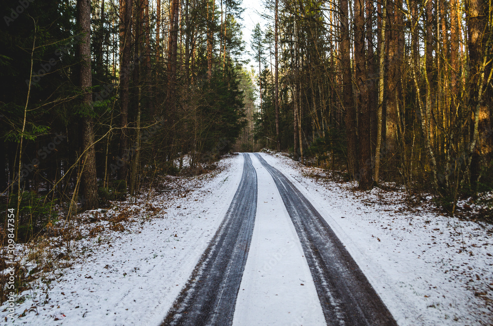 An icy road through a forest. A dangerous frozen road for driving. An icy road through a forest. A dangerous frozen road for driving.