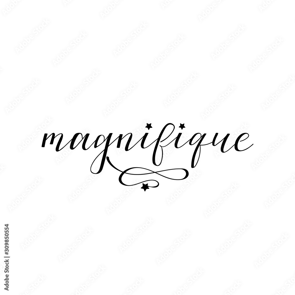 Gorgeous in French language. Hand drawn lettering background. Ink illustration.