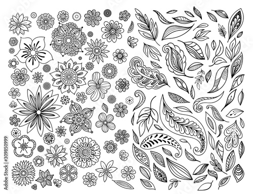 Wallpaper Mural Hand drawn leaves and flowers collection. Floral design elements set. Black and white vector illustration in doodles style. Isolated on white background. Torontodigital.ca
