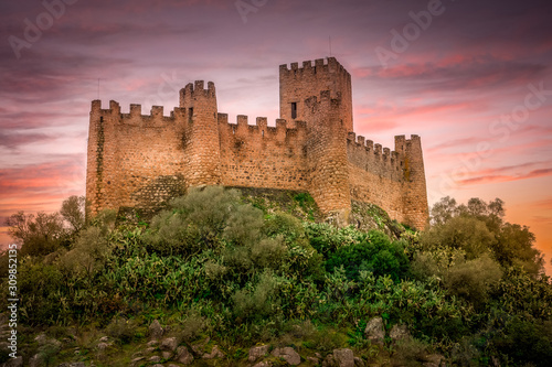 Fototapeta Almourol castle built by the templar knights on an island in the Tagus river nea