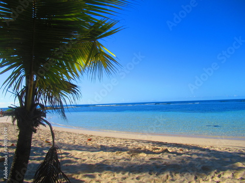 Une plage de sable blanc avec un palmier devant la mer turquoise sous le ciel bleu sans nuage