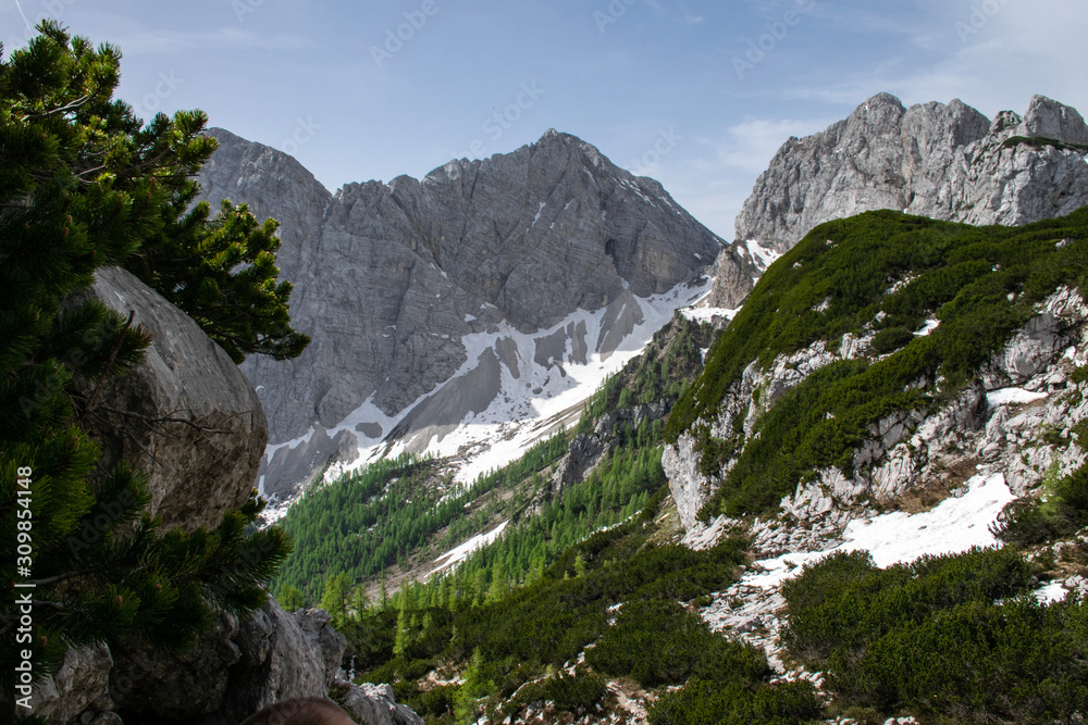 Forest and mountains in Triglav National Park, Slovenia