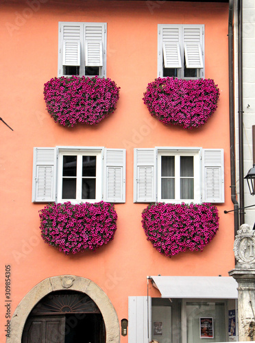 originali fioriture di surfinie a cuore nel centro storico di Egna (Bolzano) photo