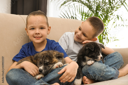 Little boys with Akita inu puppies on sofa at home. Friendly dogs