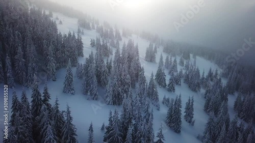 Aerial view drone flying above forest in the mountains. Snowy wether at Sunrise over frozen trees 