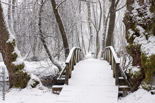 Wooden bridge covered with snow. Snowy and cold day in the park. Winter background © Boragoo