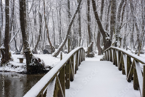 Wooden bridge covered with snow. Snowy and cold day in the park. Winter background