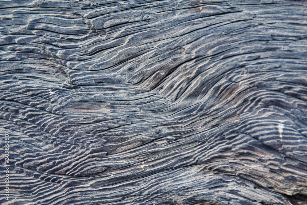 Close up of pattern in aged wood Close up of pattern in aged wood