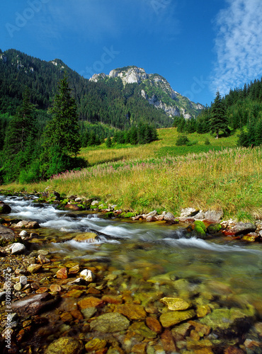 Koscieliska Valley, Tatry National Park