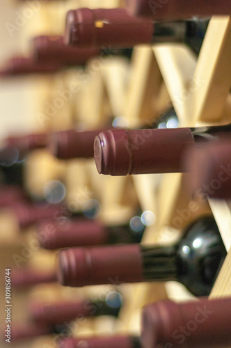 Wine cellar with bottles on wooden shelves