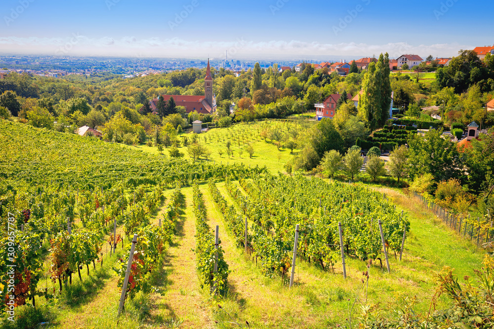 Zagreb green zone. Church and vineyard on green hill above croatian capital Zagreb