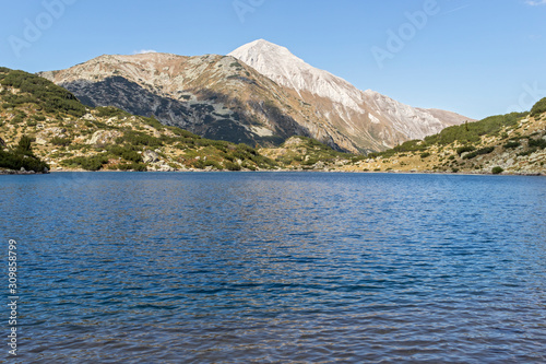 Fish Banderitsa lake at Pirin Mountain, Bulgaria