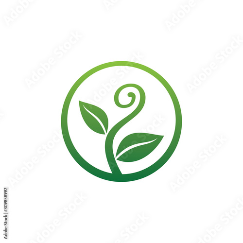 growing sprout plant with curly shape for green agriculture botany and biology science research vector logo design