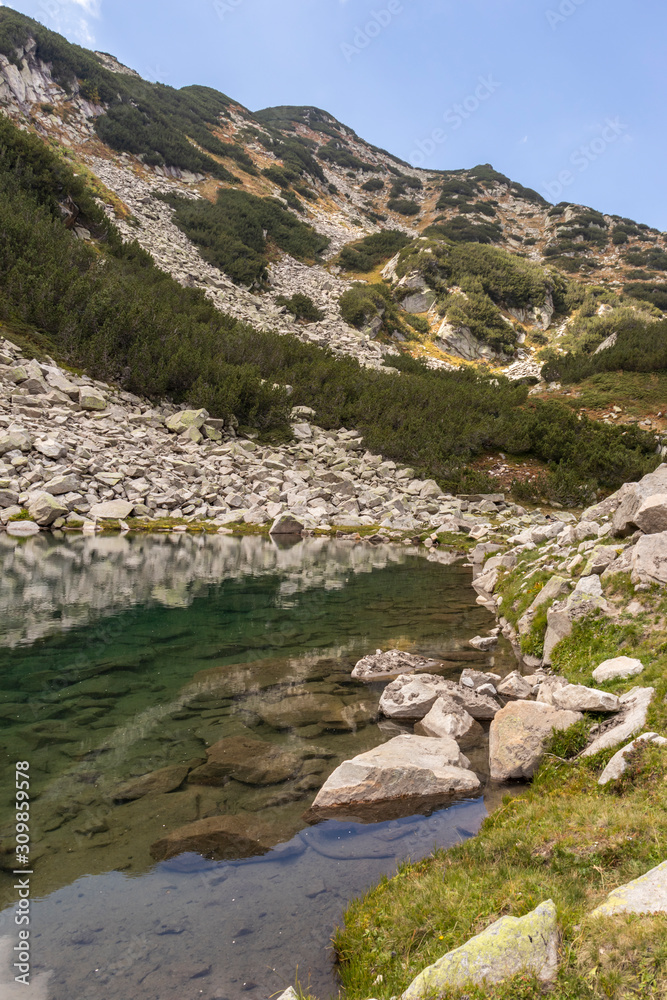 Fototapeta premium Fish Banderitsa lake at Pirin Mountain, Bulgaria
