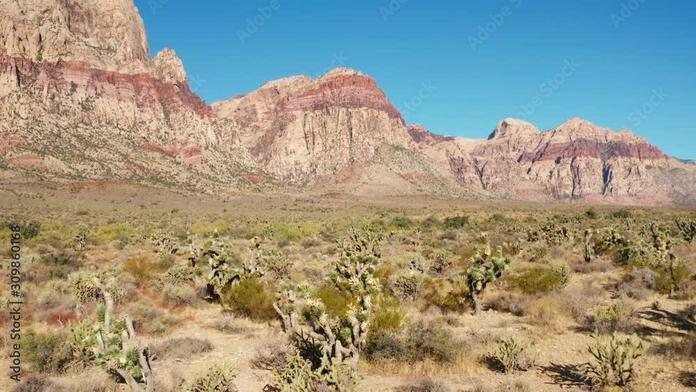Aerial scenic shot of Red Rock Canyon mountains, joshua trees, cactus, plants