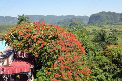 VALLE DE VIÑALES photo