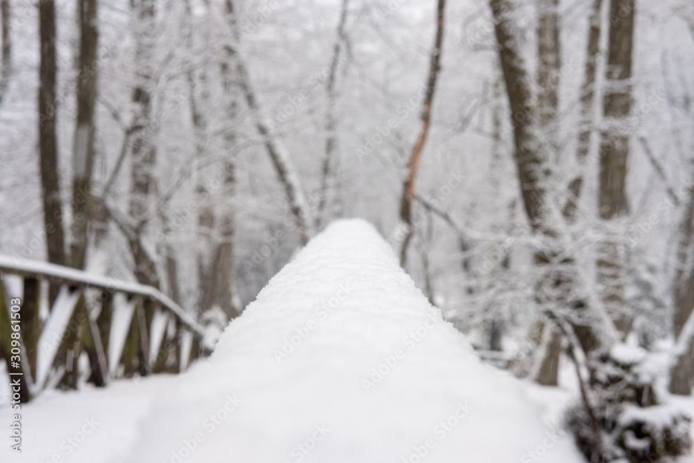 Snow detail to branches of pine and trees. Winter snowy white background with green details Snow detail to branches of pine and trees. Winter snowy white background with green details