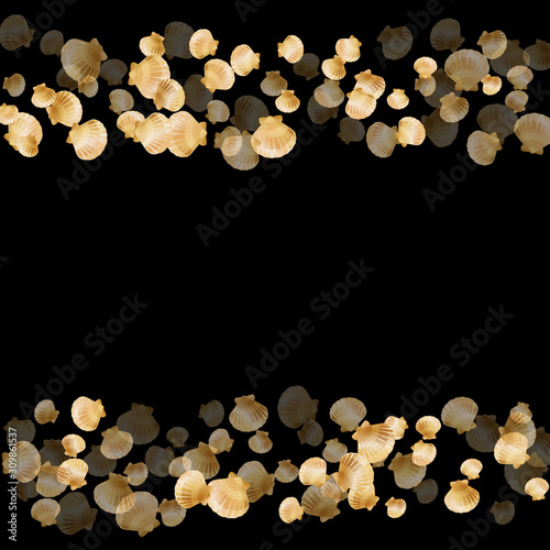 Exotic scallop, bivalve pearl shell, marine mollusk isolated on black