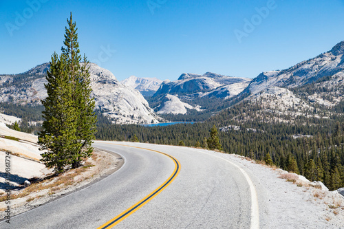 Empty road in Yosemite National Park, California, USA