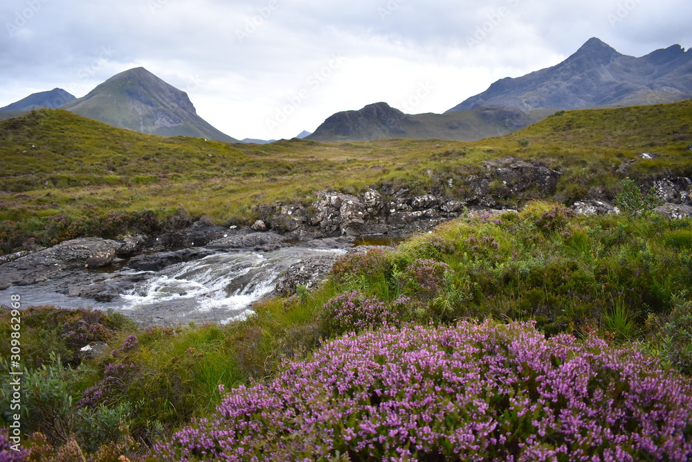 Spring water down the hill at the foot of the Cuillin mountains in the Scottish highlands. Discover purple British wild heather plants and lush greenery on a moderate day hike.