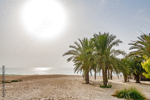 Zighy Bay in Musandam, Oman at morning. photo