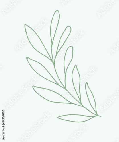 Green branch vector illustration. Flora.