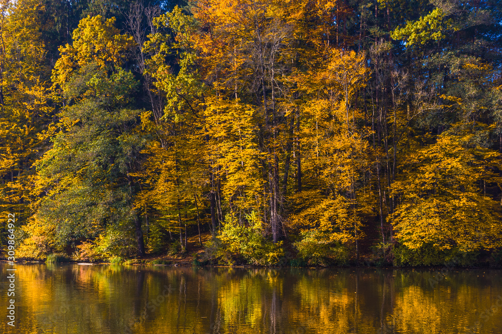 Autumn morning at lake Thal near Graz, Styria region, Austria