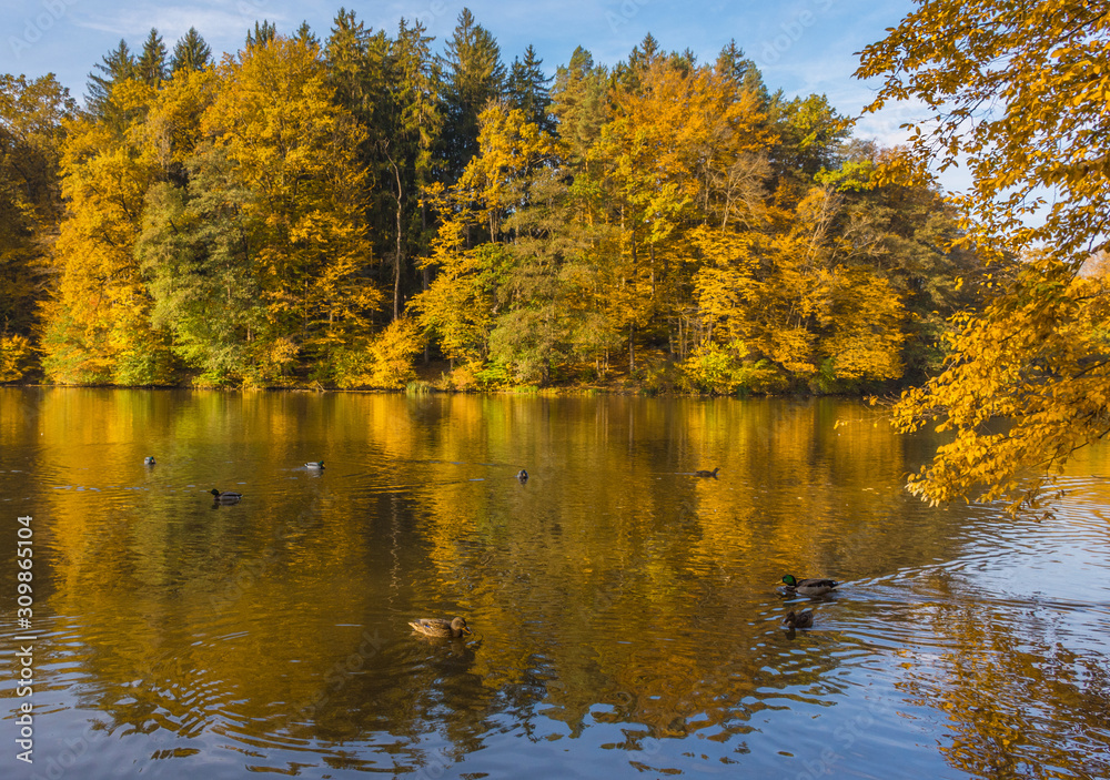 Autumn morning at lake Thal near Graz, Styria region, Austria