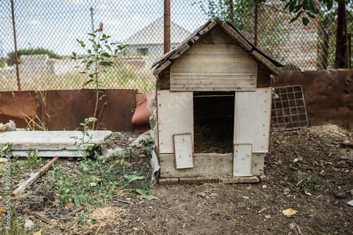empty old dog house in the courtyard
