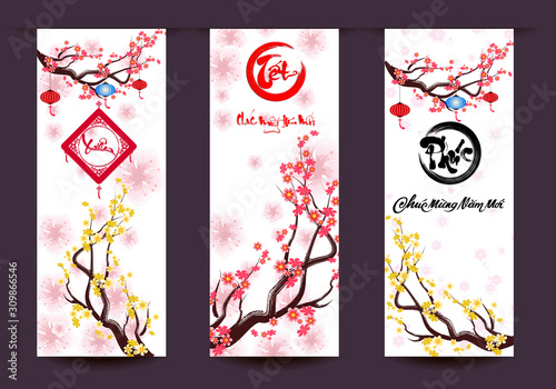 Happy vietnamese new year luna new year  vietnamese characters mean Happy New Year
