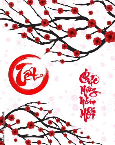 Happy vietnamese new year luna new year  vietnamese characters mean Happy New Year