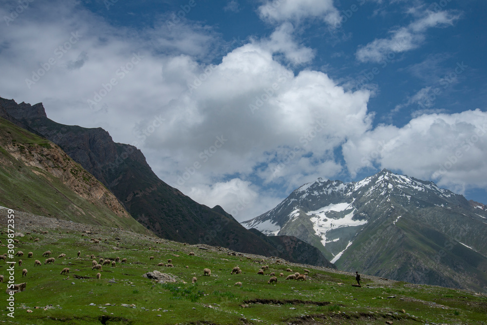 View from Zojila pass in Jammu and Kashmir, India, Asia