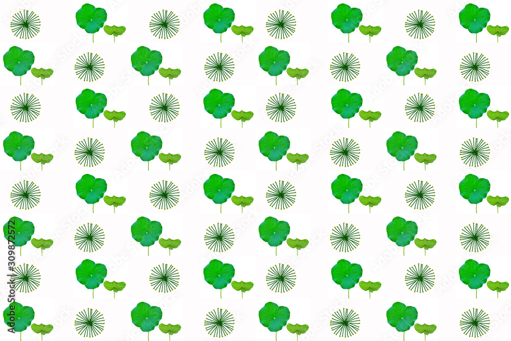 Seamless pattern image of leaves of lotus on white Seamless pattern image of leaves of lotus on white