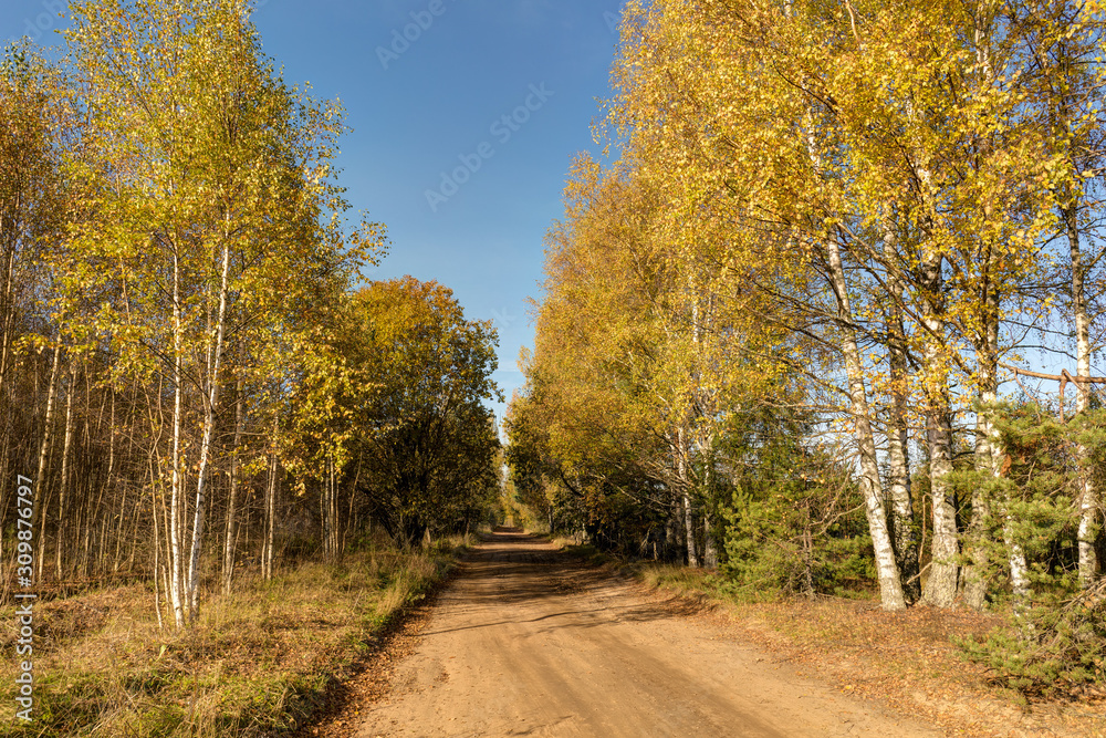 sunny rural autumn landscape